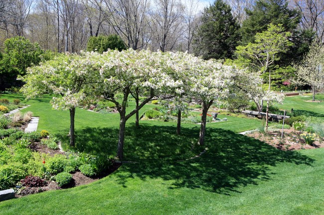 Digging Deeper: Design Dialectic—Informality at Brigham Hill Farm
